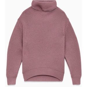 Aritzia Wilfred Montpellier Merino Wool Oversized Turtleneck Sweater